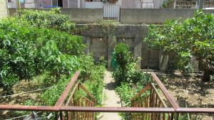 a garden with a fence and trees and a wall at Bed & Breakfast Alice in Valderice