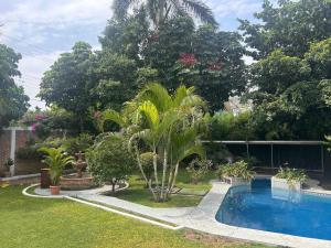 a garden with a swimming pool and palm trees at Casa con alberca de Don Vico in Yautepec de Zaragoza