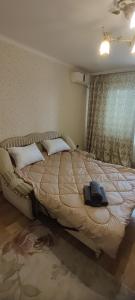 Ένα ή περισσότερα κρεβάτια σε δωμάτιο στο Nord bus Station Lux Apartament