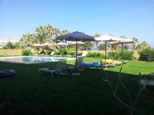 ein Garten mit Stühlen und Sonnenschirmen und ein Pool in der Unterkunft Babis Hotel in Skaleta