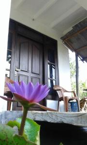 una flor púrpura sentada sobre una mesa en Riverside Lal Homestay, en Sigiriya