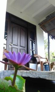 Rõdu või terrass majutusasutuses Sigiriya River Side Resort