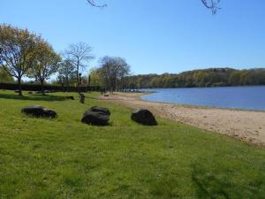 grupa skał w trawie obok jeziora w obiekcie Chalets indépendants en camping 2 étoiles avec terrasse – Idéal famille, activités et jeux pour enfants - FR-1-489-405 w mieście Treignat
