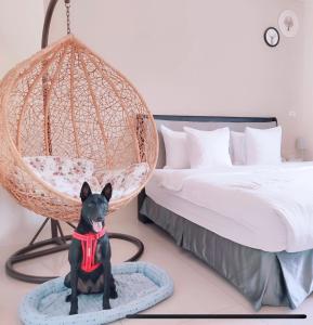 Llit o llits en una habitació de Happy Fat B&B 寵物友善