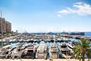 a bunch of boats parked in a marina at Riviera Marriott Hotel La Porte De Monaco in Cap d'Ail