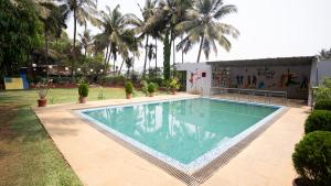 阿利鲍格Ruturaj Inn Alibag的院子里有棕榈树的游泳池