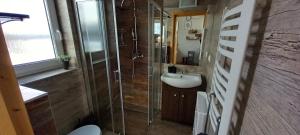 une salle de bain avec une douche, des toilettes et un lavabo dans l'établissement Domki Obłazówka nad Białką, à Nowa Biała 38 autres photos