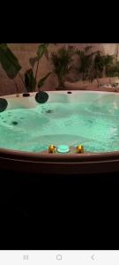 Basen w obiekcie Casa Victoria garden con Jacuzzi y piscina lub w pobliżu