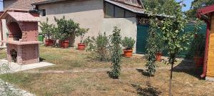 Zahrada ubytování Apartmani Astra