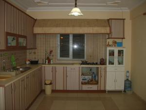 Köök või kööginurk majutusasutuses Botanik Ferienhaus