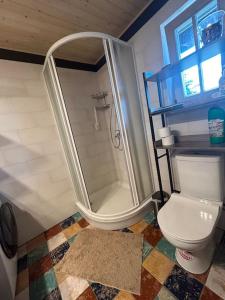 a bathroom with a white toilet and a shower at Noras Pitragā in Pitragutsiyeme +10 photos