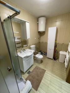 a bathroom with a sink and a toilet and a mirror at Montis Vlasic Apartment 2 in Vlasic +19 photos