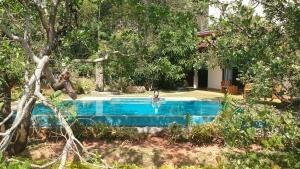 Bazén v ubytování Aqua Dunhinda Villa nebo v jeho okolí