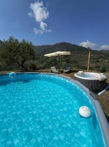 a large blue swimming pool with a hot tub and an umbrella at L'Antica Quercia B&B in CastellʼUmberto