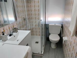 a bathroom with a toilet and a sink and a shower at Casa Tito 2 in Santo Domingo de la Calzada +15 photos