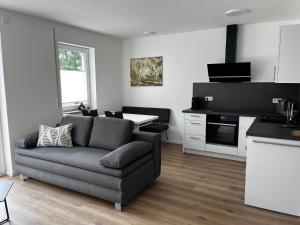 a living room with a couch and a kitchen at Fewo Klein Venedig in Bamberg +5 photos