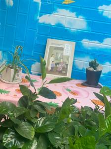 a table with potted plants on top of it at Homestay giá SV gần Ga HP in Hai Phong