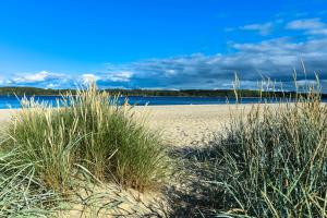 Příroda nedaleko apartmánu + 31 fotografií