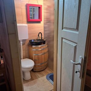 Un baño de Vile Bliznakinje