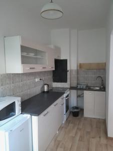 Apartmány Dunice 2的厨房或小厨房