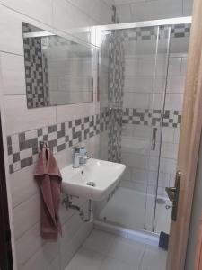 Apartmány Dunice 2的一间浴室