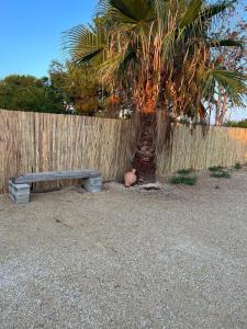 a bench and a palm tree next to a fence at La Caseta Dels Avis in Sant Jaume d'Enveja