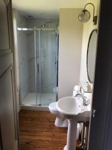 een badkamer met een glazen douche en een wastafel bij Château de Luzières in Conty +14 foto's