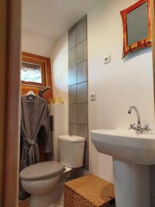 a bathroom with a toilet and a sink at La Plaisance sur Ciel in Cordes-sur-Ciel +23 photos