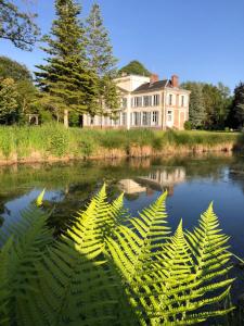 Un montón de plantas verdes en el agua frente a una casa. en Château de Luzières, en Conty