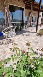 Zahrada ubytování Luis Penthouse
