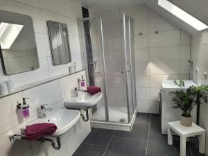 Koupelna v ubytování Ferienwohnung Zum Dütetal DG Apartment 2