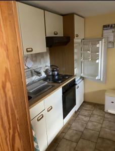 a small kitchen with a stove and a refrigerator at Haus Schuster in Bad Salzschlirf