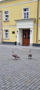 ZakrzówにあるPałac Lucja BBの建物前に立つ鳥