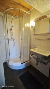 une salle de bain avec douche et lavabo dans l'établissement Mountain studio HN, à Nendaz 11 autres photos