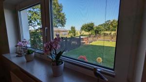 a window with a view of a yard at Ferienwohnung Sonja in Westerende