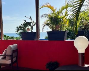 a red wall with potted plants and a chair at Villa Victoria in Bouillante