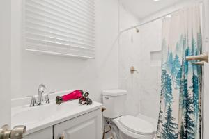 a white bathroom with a toilet and a shower curtain at Unit # 1 - Right Next to Howard University in Washington