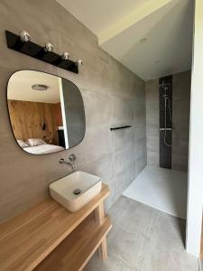 a bathroom with a sink and a mirror at La Maison Calestienne in Han-sur-Lesse +42 photos