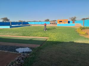 a child standing in the grass in a park at Letz Guest Lodge in Tolwe +9 photos