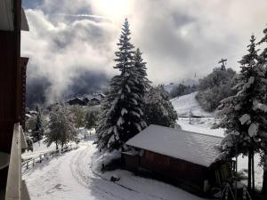a snow covered cabin with a snow covered tree at Appartement Station Le Corbier in Villarembert