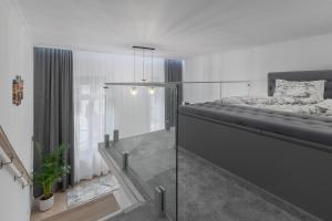 1 dormitorio con 1 cama grande y pared de cristal en Ullman Apartments 2, en Oradea