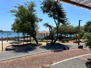 a park with trees on the side of a beach at Plaza Lobos Suites in San Cristóbal