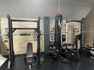 a room with a gym with weights and a hanging object at Apartman Njegoš Lux Titova vila in Palisad