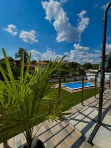 a palm tree in front of a swimming pool at The Hillside Villa in Ognyanovo