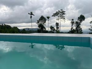 una piscina con palme sullo sfondo di Misty Haven A-Frame a Kandy Altre 15 foto