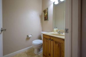 a bathroom with a toilet and a sink and a mirror at Lakeside Escape 1 BR with Resort Amenities in Huntsville +14 photos