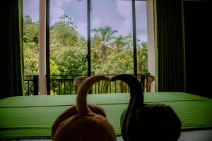 Fotografie z fotogalerie ubytování Evergreen Villa - Sinharaja v destinaci Deniyaya