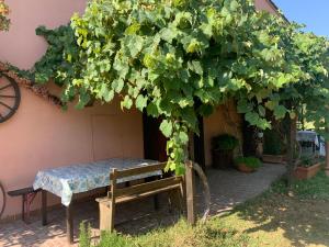 Zahrada ubytování Podere Girasoli