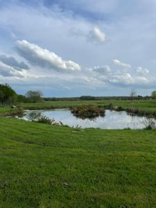 a pond in the middle of a field at En plein cœur de la Sologne in Courmemin