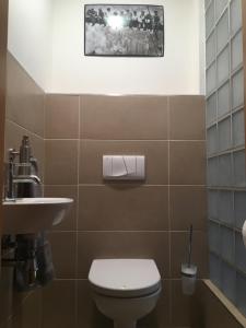 Kúpeľňa v ubytovaní Apartmán v centru města